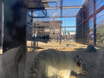 宇都宮動物園に投稿された画像（2024/1/7）