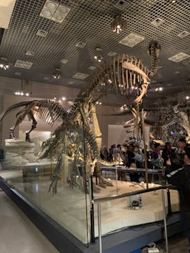 国立科学博物館に投稿された画像（2024/1/7）