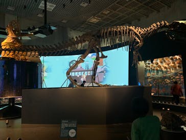 国立科学博物館に投稿された画像（2024/1/7）