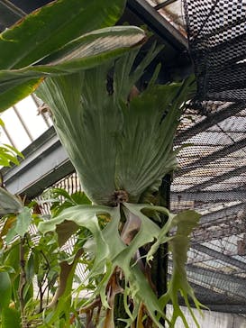 熱川バナナワニ園に投稿された画像（2024/1/7）