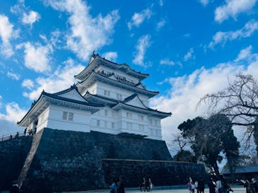 小田原城に投稿された画像（2024/1/7）