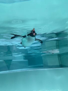 AOAO SAPPOROに投稿された画像（2024/1/7）