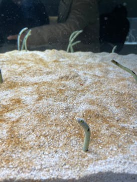 AOAO SAPPOROに投稿された画像（2024/1/7）