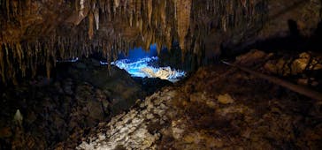 おきなわワールドに投稿された画像（2024/1/7）