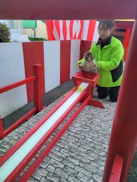 おさるランド＆アニタウン　日光さる軍団劇場に投稿された画像（2024/1/7）