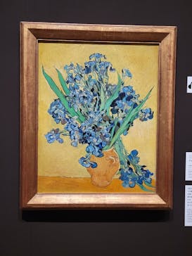 ゴッホと静物画　伝統から革新へ（SＯＭＰＯ美術館）に投稿された画像（2024/1/7）