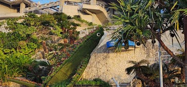 沖縄美ら海水族館に投稿された画像（2024/1/7）