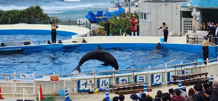 沖縄美ら海水族館に投稿された画像（2024/1/7）