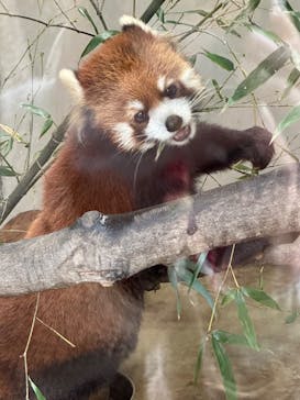 長崎バイオパークに投稿された画像（2024/1/7）