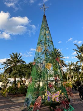 美らヤシパークオキナワ・東南植物楽園に投稿された画像（2024/1/7）