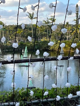 美らヤシパークオキナワ・東南植物楽園に投稿された画像（2024/1/7）