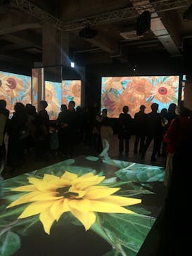 ゴッホ・アライブに投稿された画像（2024/1/7）