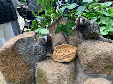 神戸どうぶつ王国に投稿された画像（2024/1/7）