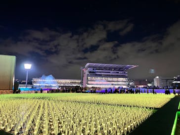 東京メガイルミに投稿された画像（2024/1/7）