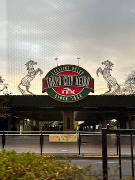 東京メガイルミに投稿された画像（2024/1/7）