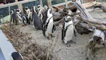 仙台うみの杜水族館に投稿された画像（2024/1/7）