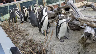 仙台うみの杜水族館に投稿された画像（2024/1/7）