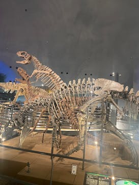 福井県立恐竜博物館に投稿された画像（2024/1/7）