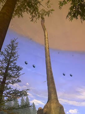 福井県立恐竜博物館に投稿された画像（2024/1/7）