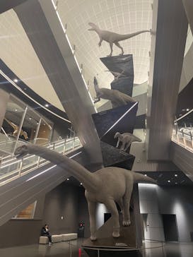 福井県立恐竜博物館に投稿された画像（2024/1/7）