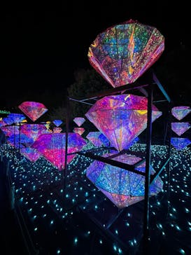 伊豆ぐらんぱる公園に投稿された画像（2024/1/7）