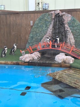 おさるランド＆アニタウン　日光さる軍団劇場に投稿された画像（2024/1/7）