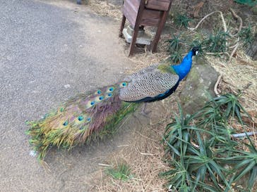 伊豆シャボテン動物公園に投稿された画像（2024/1/7）