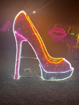 鹿児島イルミナージュに投稿された画像（2024/1/7）