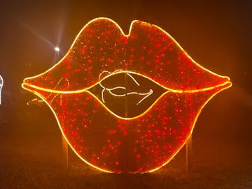 鹿児島イルミナージュに投稿された画像（2024/1/7）