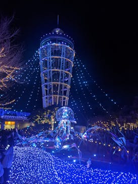江の島シーキャンドルに投稿された画像（2024/1/7）