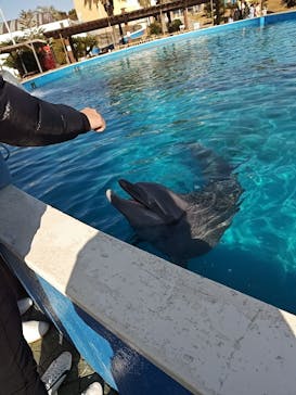 南知多ビーチランド＆南知多おもちゃ王国に投稿された画像（2024/1/7）