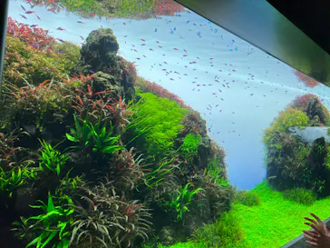 すみだ水族館に投稿された画像（2024/1/7）