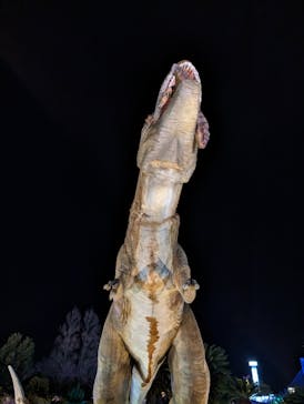 伊豆ぐらんぱる公園に投稿された画像（2024/1/7）