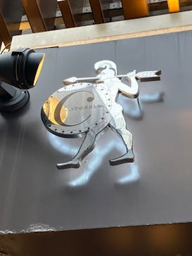 サウナリゾート オリエンタルに投稿された画像（2024/1/7）