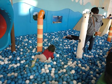 伊豆・三津シーパラダイスに投稿された画像（2024/1/7）