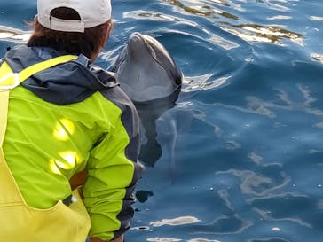 伊豆・三津シーパラダイスに投稿された画像（2024/1/7）