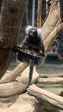 カワスイ 川崎⽔族館に投稿された画像（2024/1/7）