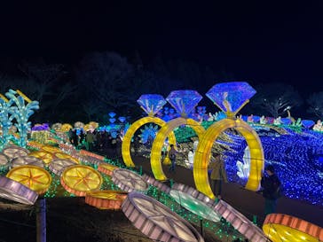 伊豆ぐらんぱる公園に投稿された画像（2024/1/7）