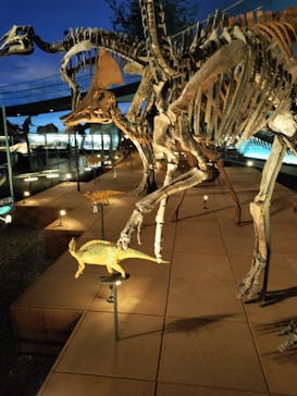 福井県立恐竜博物館に投稿された画像（2024/1/7）