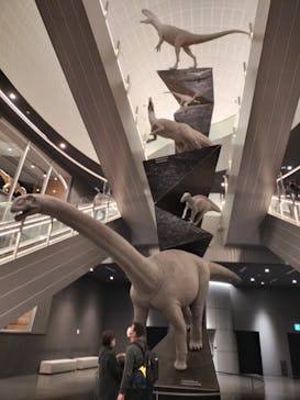 福井県立恐竜博物館に投稿された画像（2024/1/7）