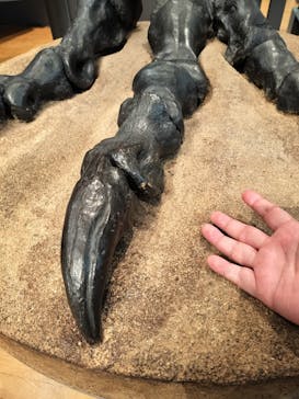 福井県立恐竜博物館に投稿された画像（2024/1/7）