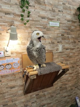 アニタッチ MARK IS 静岡に投稿された画像（2024/1/7）