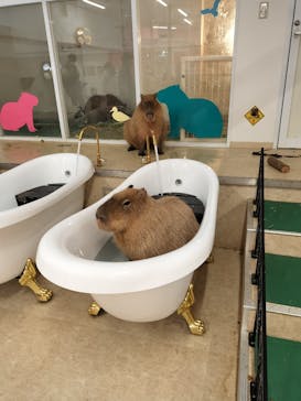 アニタッチ MARK IS 静岡に投稿された画像（2024/1/7）