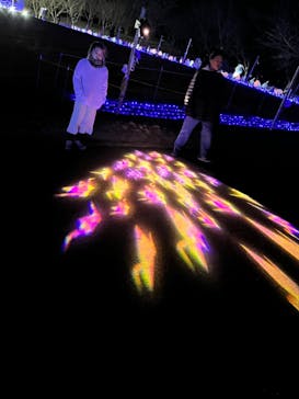 鹿児島イルミナージュに投稿された画像（2024/1/7）