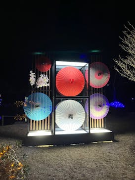 鹿児島イルミナージュに投稿された画像（2024/1/7）