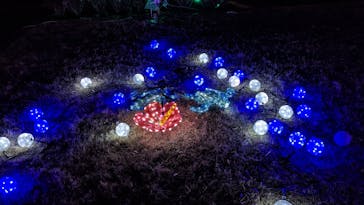 鹿児島イルミナージュに投稿された画像（2024/1/7）