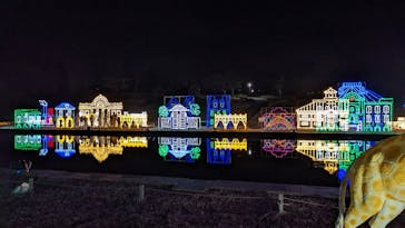 鹿児島イルミナージュに投稿された画像（2024/1/7）