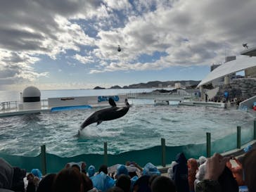 鴨川シーワールドに投稿された画像（2024/1/7）