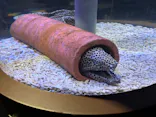 名古屋港水族館に投稿された画像（2024/1/7）