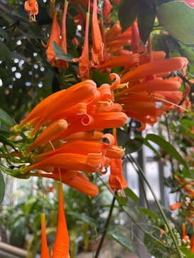 熱川バナナワニ園に投稿された画像（2024/1/7）